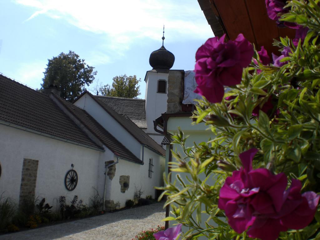 Hotel Penzion Cas à Český Rudolec Extérieur photo