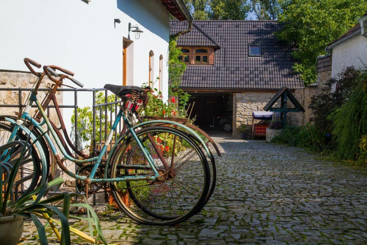 Hotel Penzion Cas à Český Rudolec Extérieur photo